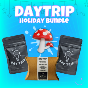 DayTrip Holiday Bundle  ($15 savings)